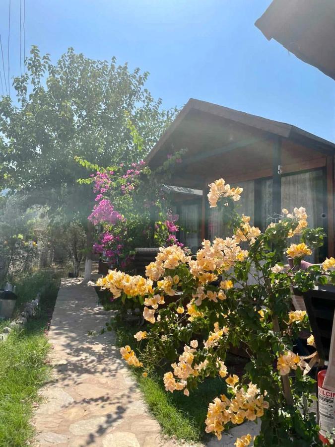 מלון מרמריס Marimare Beach & Bungalow מראה חיצוני תמונה